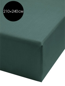 90751672 Простыня C060050, 240x250 см, сатин, без резинки Сатин NEW STLM-0367836 DEНАСТИЯ