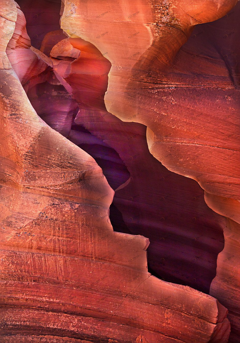 Панно на стену пластификация 100х70 см "Скорлупка" PANKOVSKY STUDIO ПЛАСТИФИКАЦИЯ 015900 Оранжевый;фиолетовый;разноцветный 