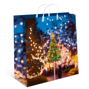 Подарочный пакет Арт и дизайн 26x24 см в ассортименте