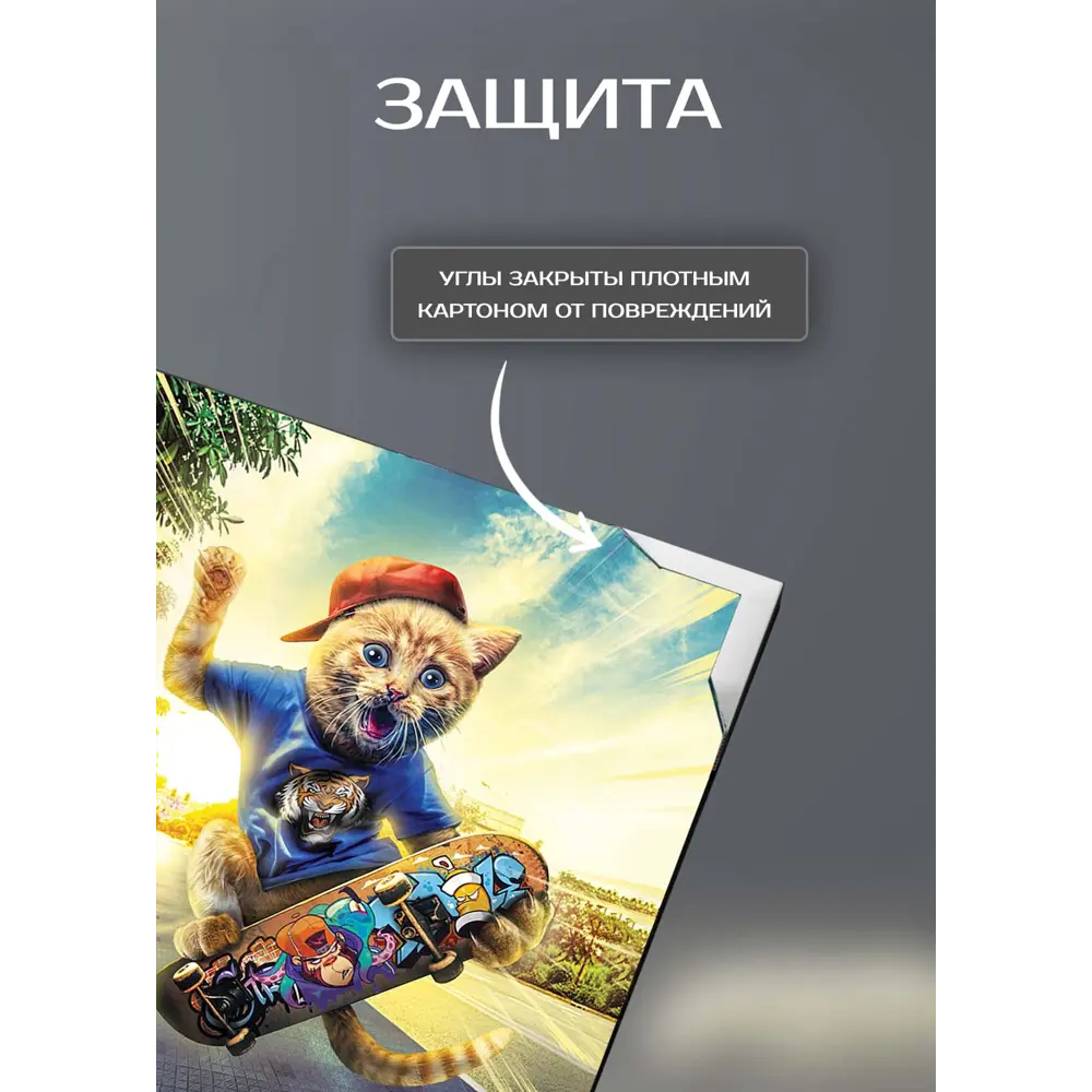 Картина на холсте Кот на скейте 30x30 см 87233235 STLM-2170859 FBRUSH  - Вид №5