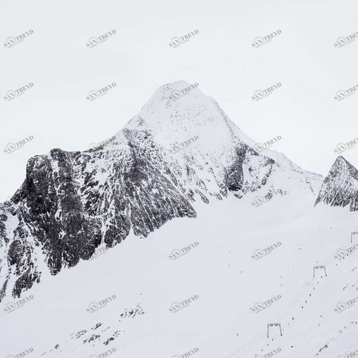 WP00055 Фотообои Verol Фотообои decoline 1х1 м