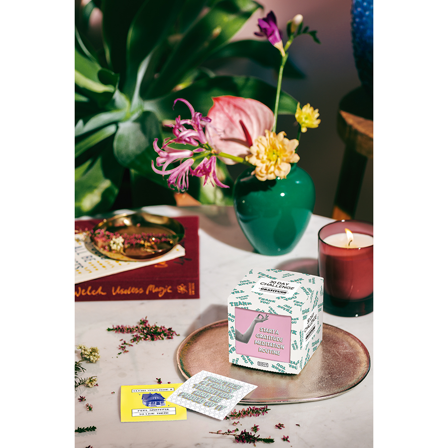 DYCHALGRE Игра , 30 дней благодарности Doiy  - Вид №1