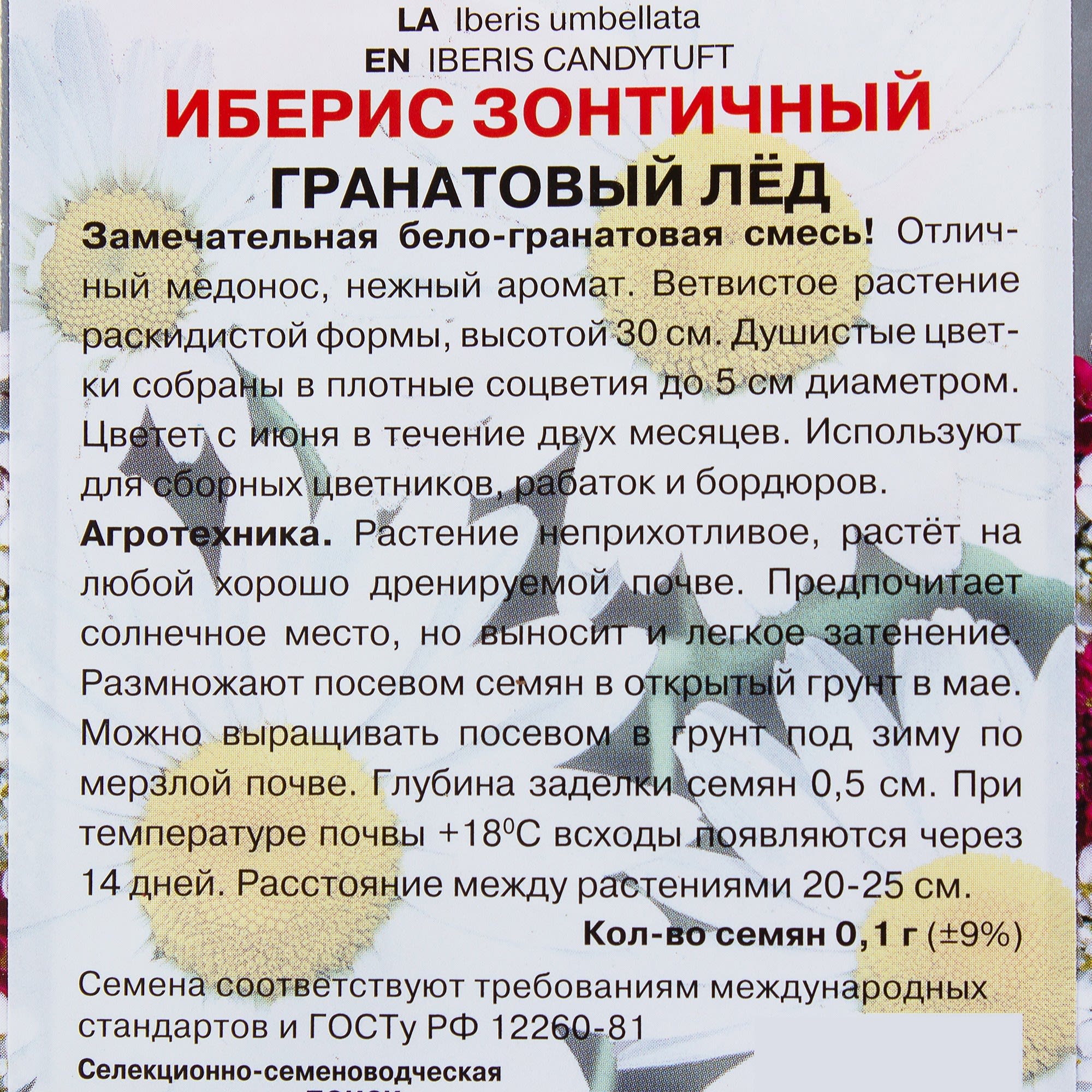 17229637 Иберис зонтичный «Гранатовый лед» Santreyd  - Вид №2