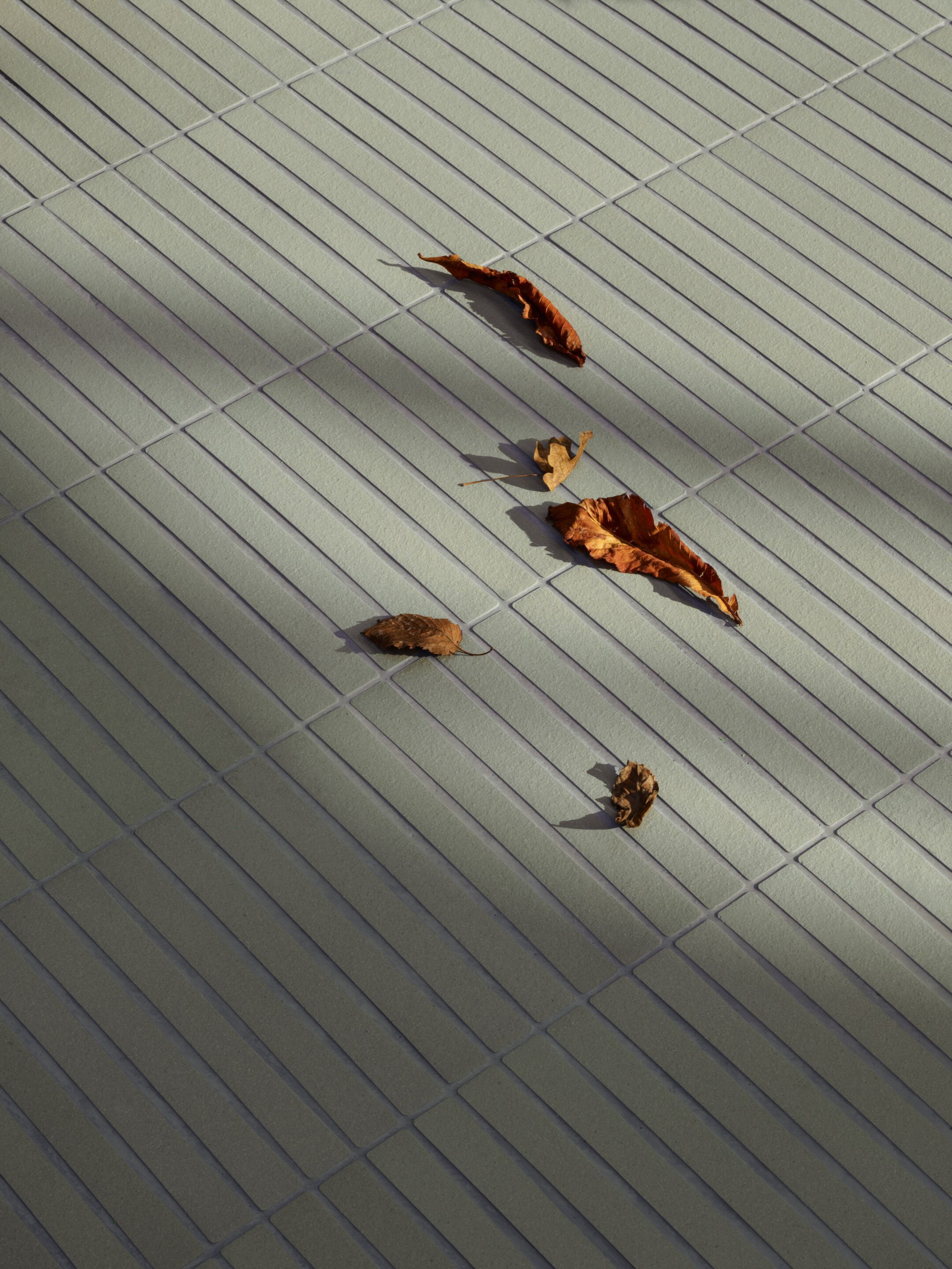 Напольное покрытие / керамогранит для внутреннего и наружного применения Mutina Bone &amp ARCH-00116941