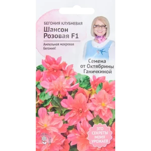 Бегония «Шансон» розовая F1 6 шт.