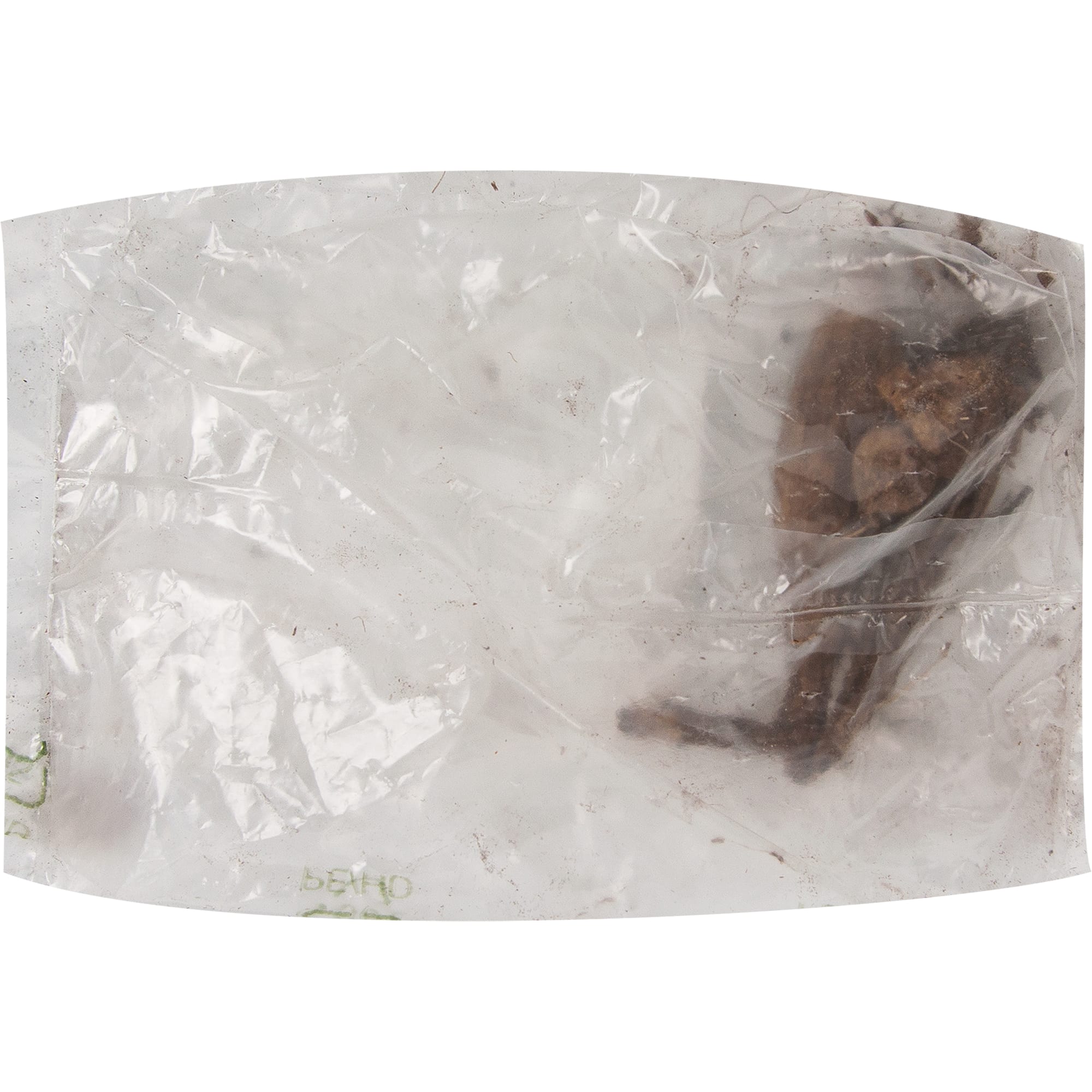 83760967 Георгина Арабиан Найт луковица II Santreyd 