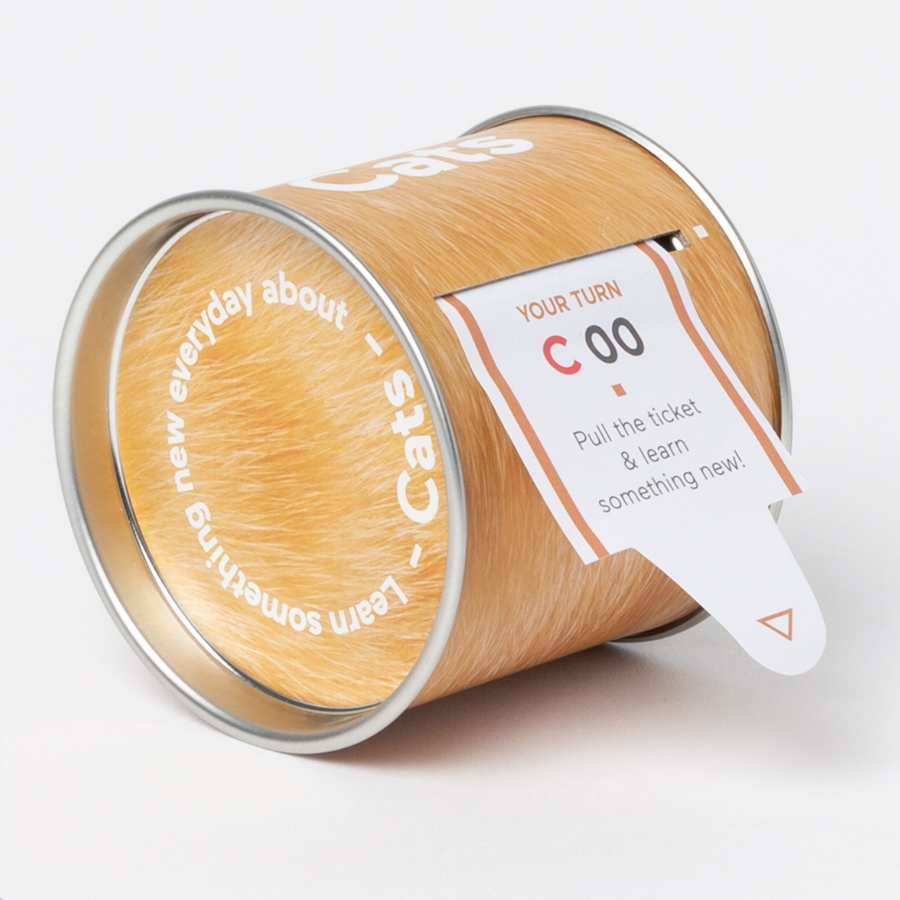 DYNEWCAEN Набор «Узнай что-то новое о кошках» Doiy 