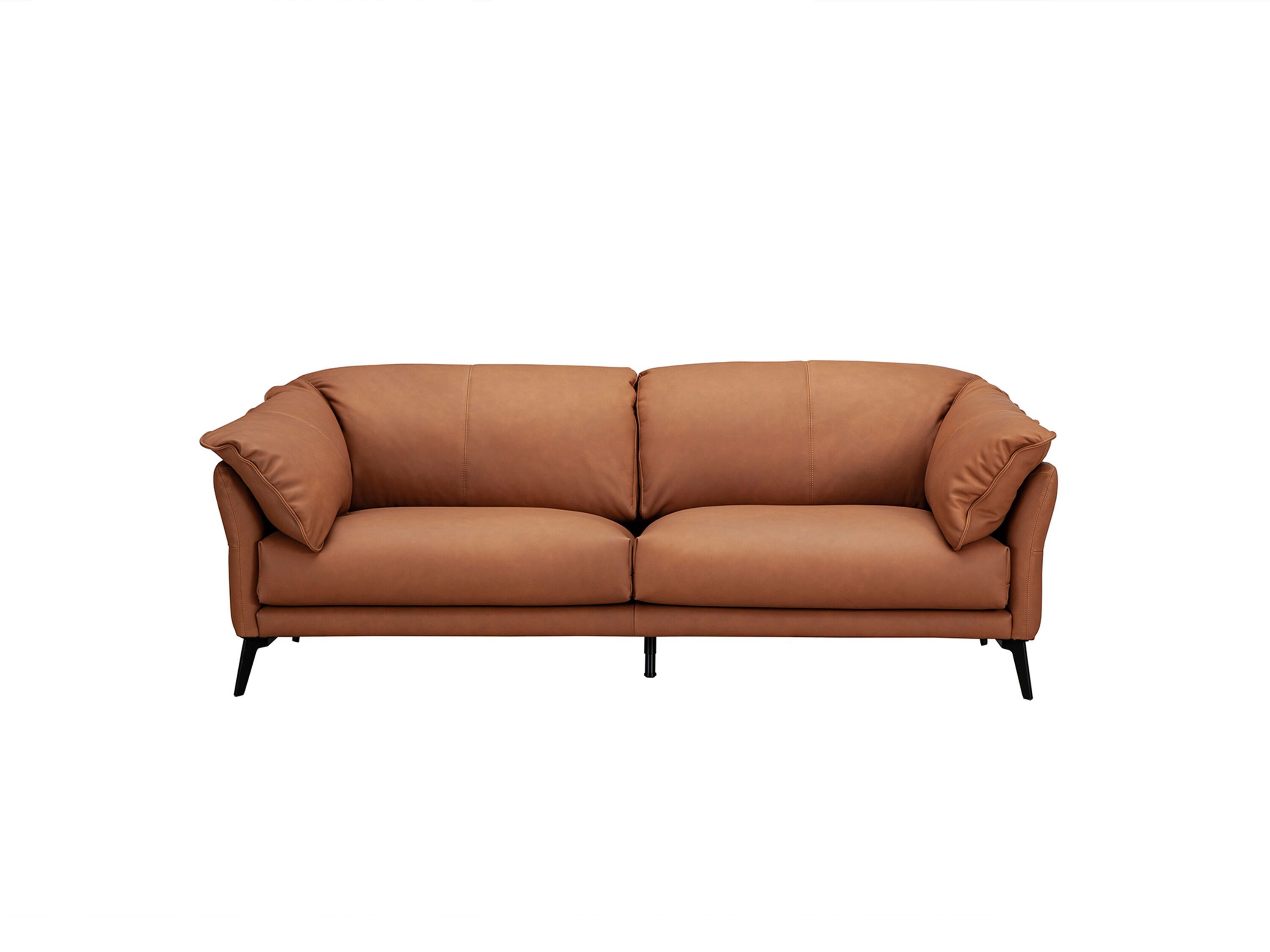 2-местный кожаный диван CAMPO DE' FIORI TUSCANY ARCH-00063650 - Вид №11