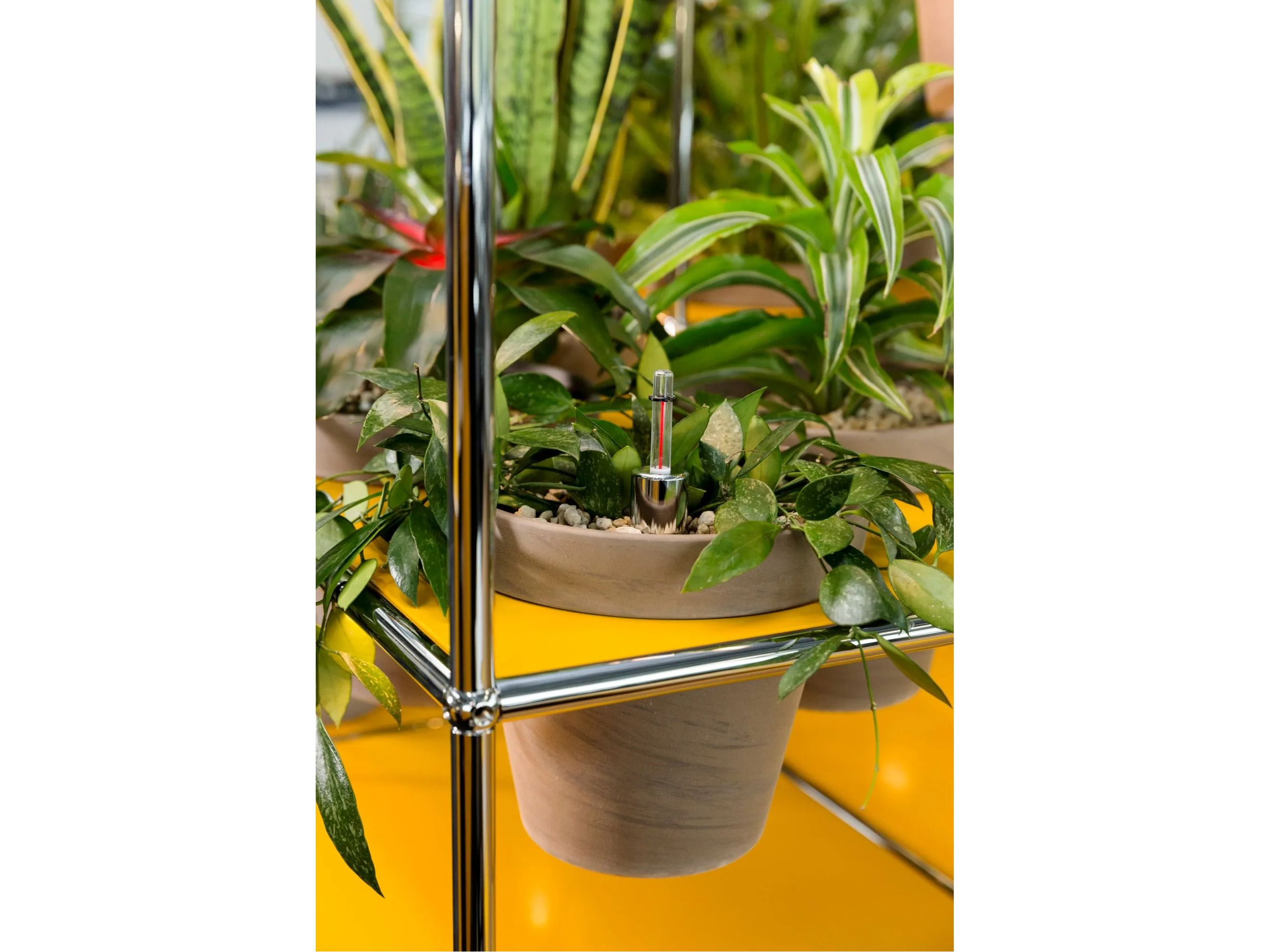 Модульная офисная мебель USM мир растений для USM Haller ARCH-00030298 - Вид №1