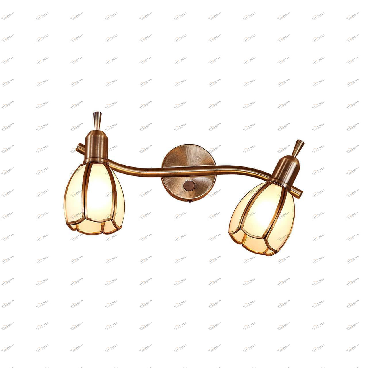 Спот настенный белый на 2 лампы Citilux "Альтен-2" CL522621 CITILUX ФЛОРИСТИКА 00-3926332 Белый 