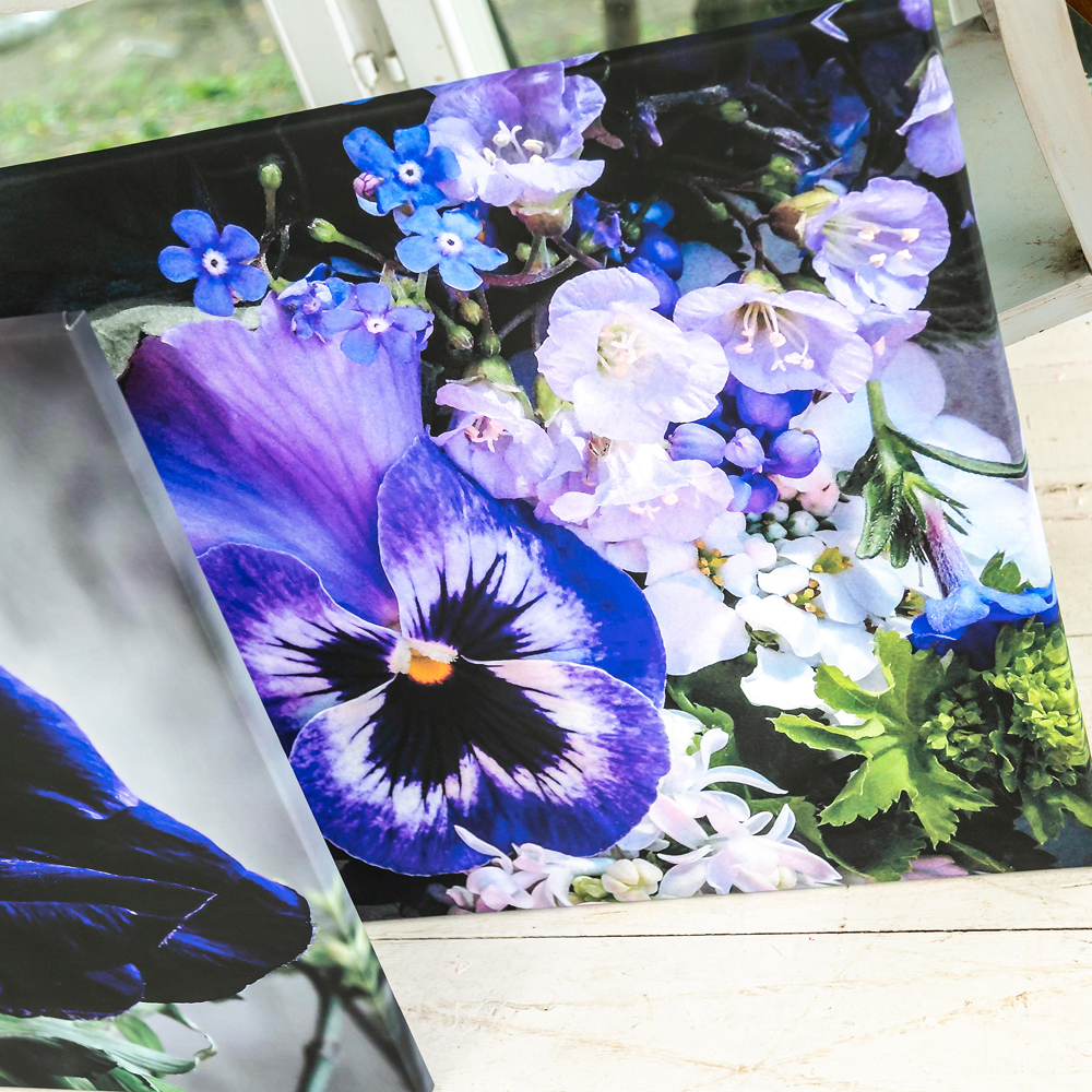 896520128_2728 Картина «Aster Purple» (холст, галерейная натяжка) Object Desire  - Вид №1