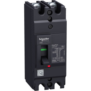 EZC100H2016 Силовой автомат EZC 100, TM-D, 30кА, 2P, 16А Schneider Electric EasyPact