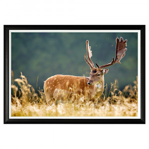 896523235_1818 Арт-постер «Король Олень» Object Desire