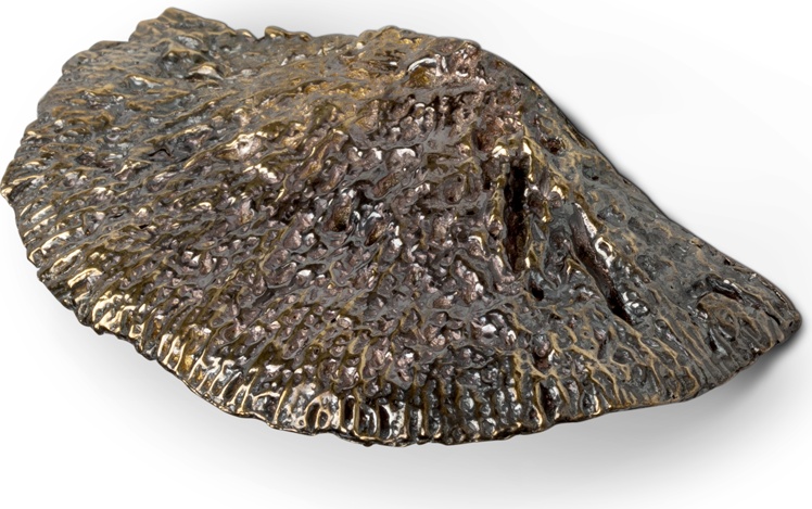 EA1035 Fungi PULLCAST Earth Collection 