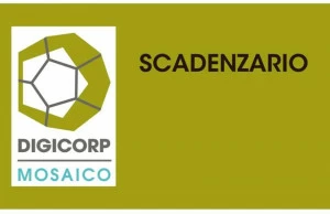 DIGI CORP Управление сроками кредитования и дебета Suitemosaico