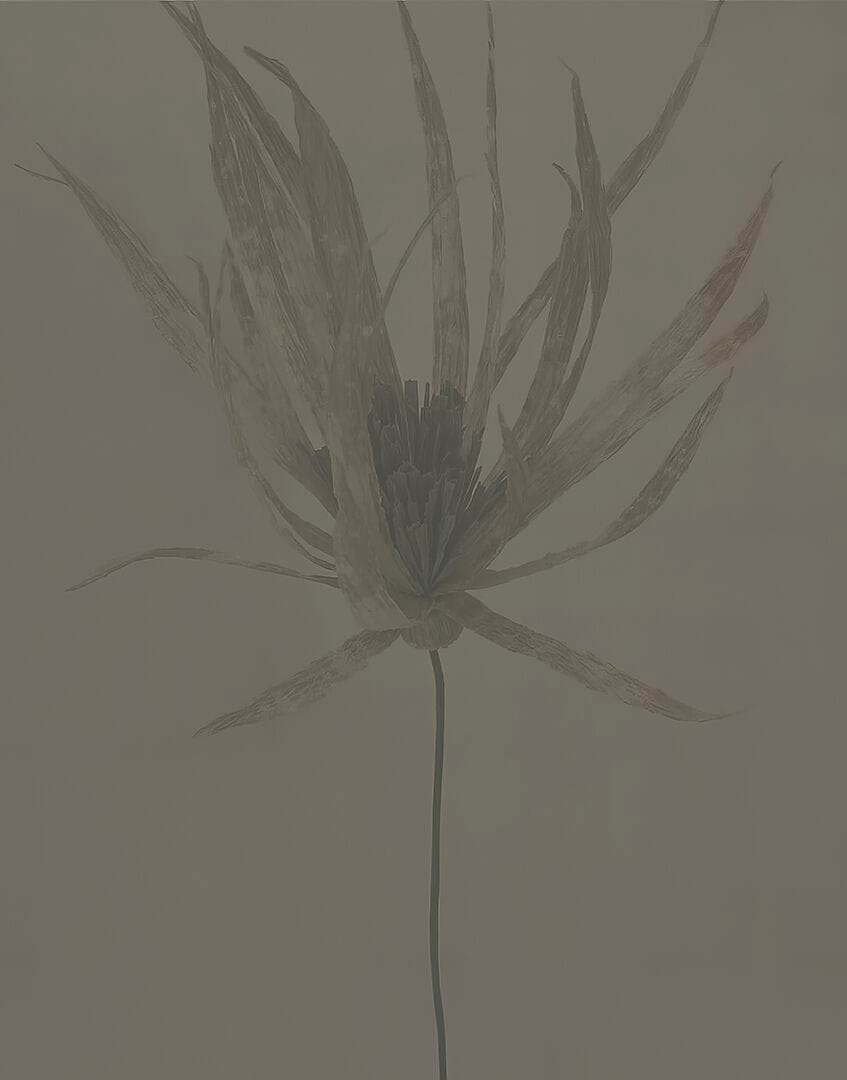 Обои с поддержкой d. ecodura™ Wall&decò Современные обои 2024 ARCH-00148675 - Вид №3