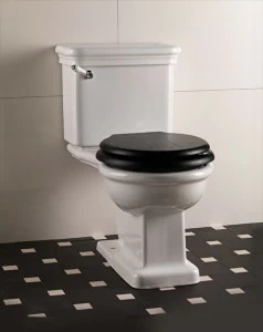 WCETUSA Компакт унитаз с бачком Белый Devon&Devon  Италия