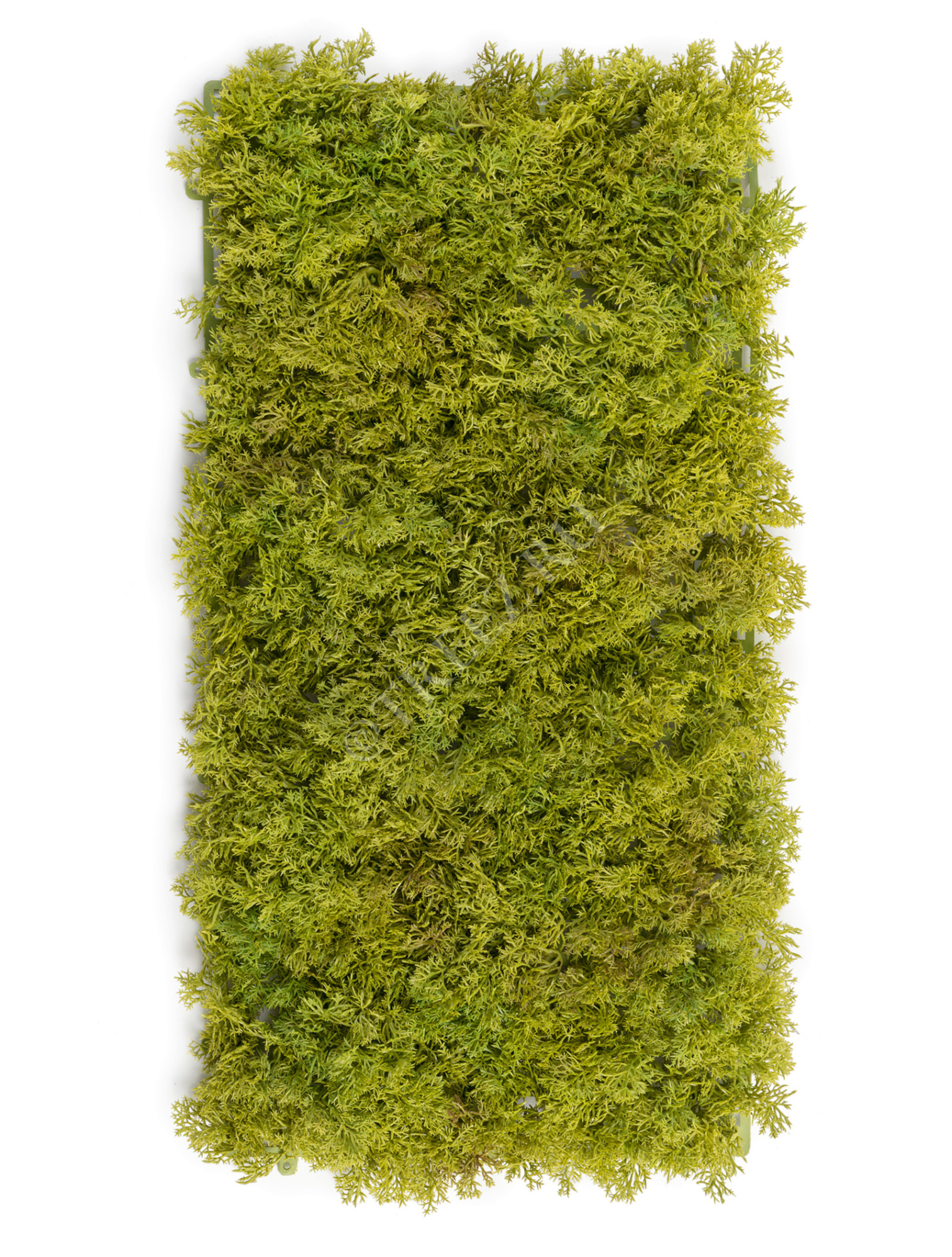 20.072028LG-M Мох Ягель светло-зелёный микс (коврик) Цветочная коллекция 