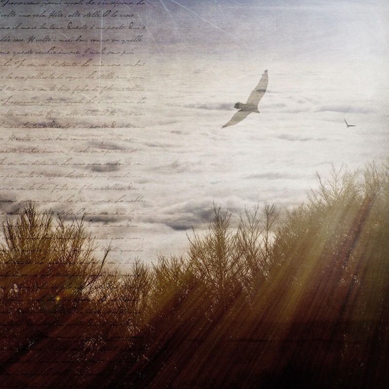 F124C/1137X98 Картина Муралес 1137 Adriani e Rossi 