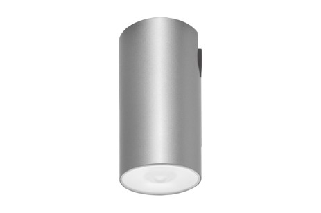 DST-88 Lens watertight ceiling-mounted Daisalux Светильники аварийные Серебристо-Серый 