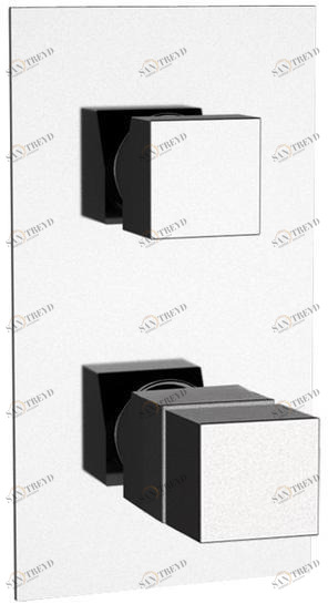 Remer Rubinetterie Термостатический смеситель для душа с переключателем на 2 положения Qubika thermo Qt 92