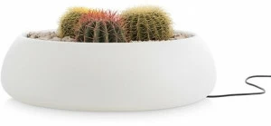 Diabla Круглая яркая низкая кашпо Gobi