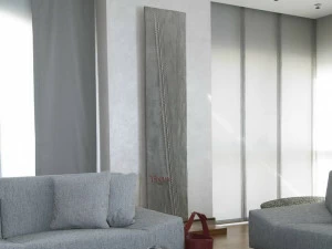 Cinier Настенный панельный радиатор olycale® Palacio