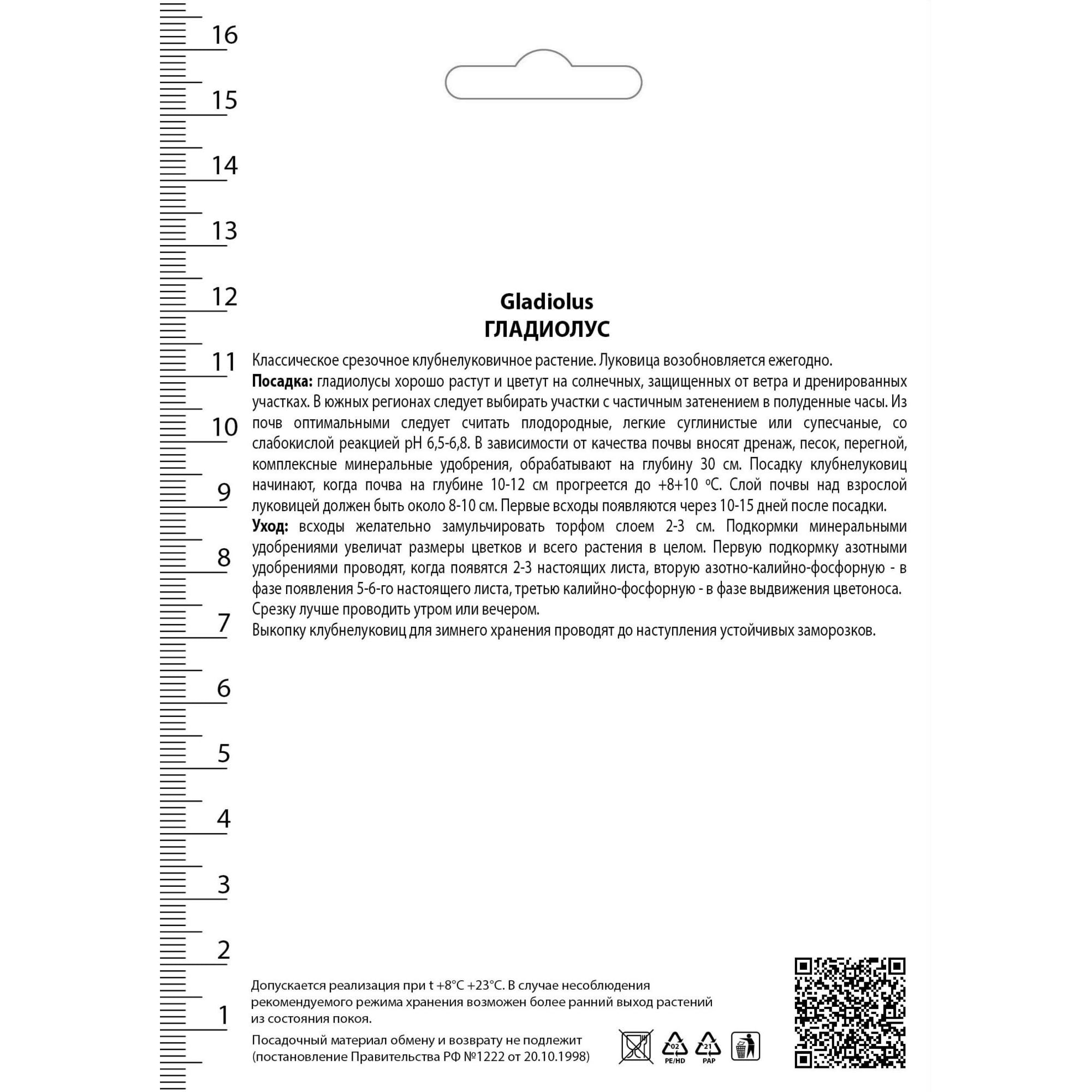 82530193 Гладиолус крупноцветковый «Блэк Вельвет» Santreyd  - Вид №1