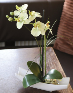 2760 788 a3 Пластиковая орхидея Phalaenopsis в миске, 30 см, real touch soft, бежево-зеленая H-andreas