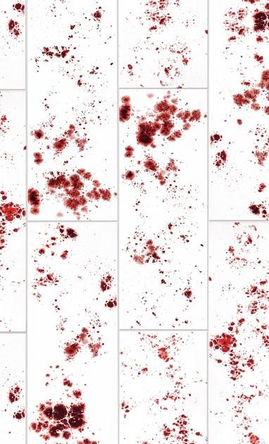 Danilo Ramazzotti Внутренняя облицовка майоликой Inchiostro simpatico Is4 - Вид №2