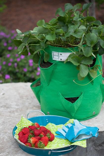 Onek Кашпо для ткани Bloembagz sun-id-1374207 - Вид №3