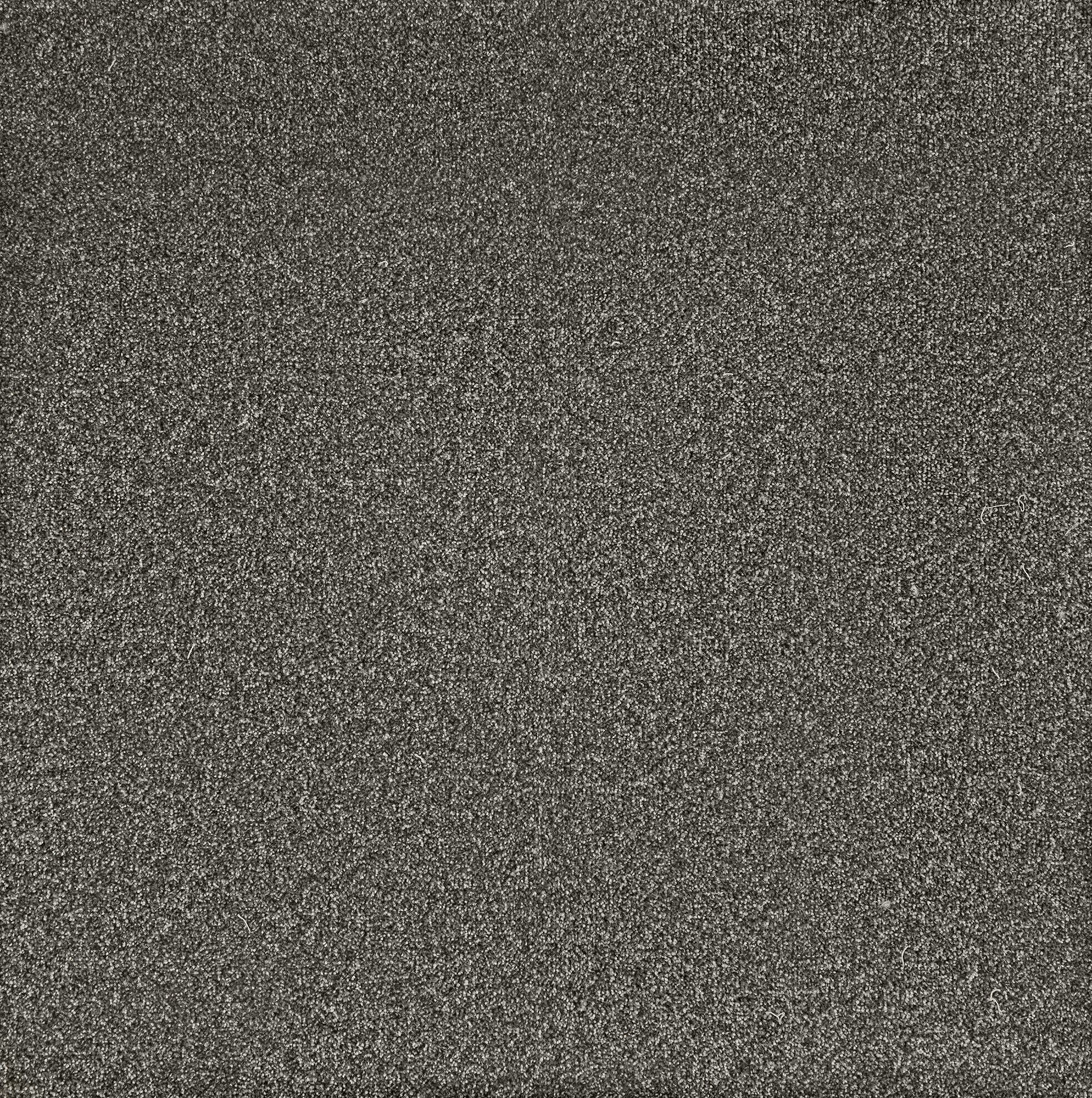 83982012 Ковровое покрытие полипропилен Frize ворс серый, 2 м STLM-0045779 РОЯЛТАФТ