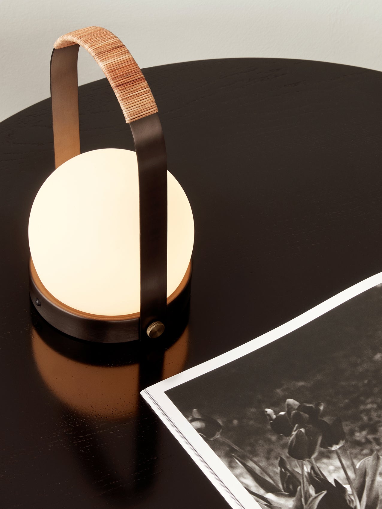 5709262000135 Портативная светодиодная лампа Carrie LuceLight  - Вид №11