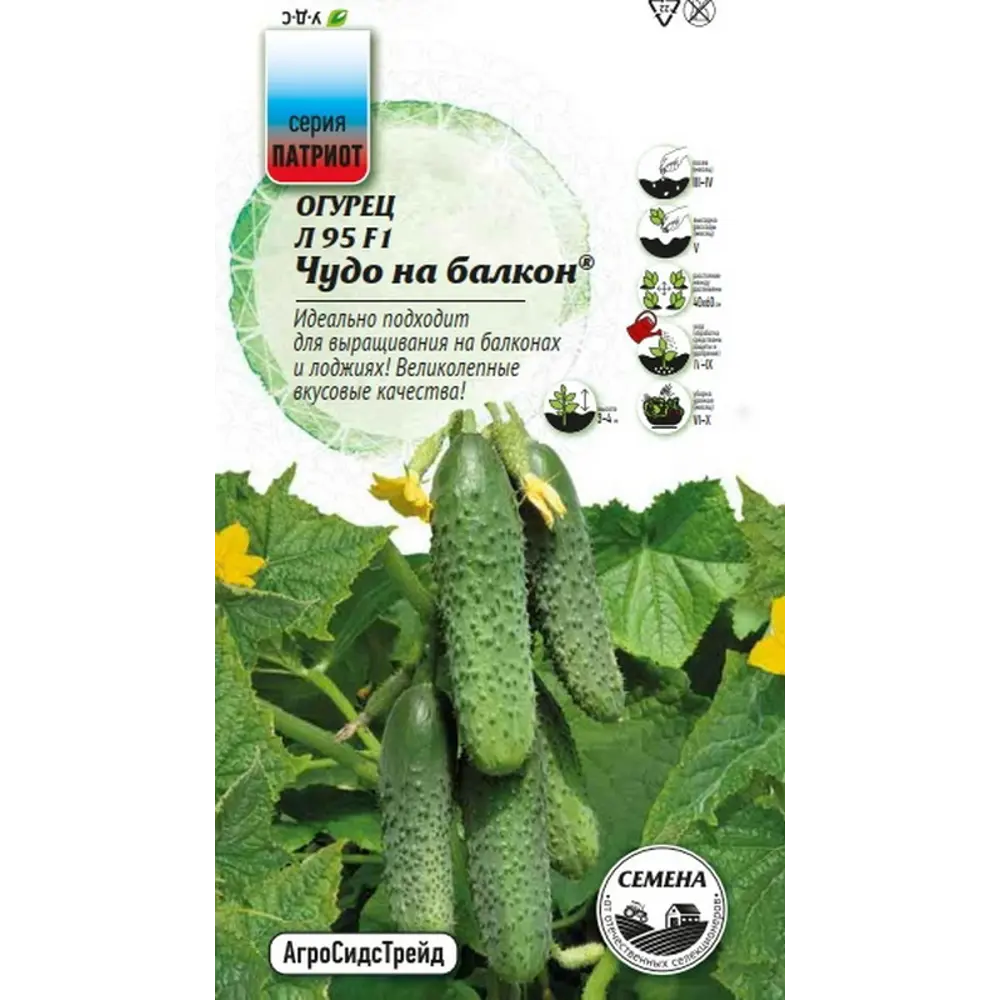 Семена овощей Агросидстрейд Патриот огурец Чудо на балкон F1 STLM-2007633