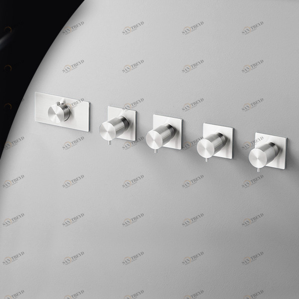 Термостат для душа AICO TER57L серебристый глянцевый Radomonte