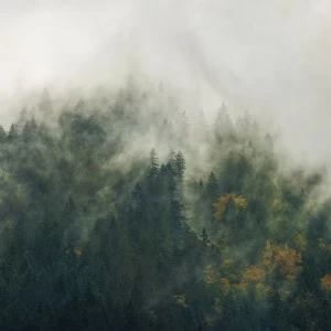 SH036-VD3-Tales-of-the-Carpathians Фотообои Komar Stefan Hefele 2х3 м