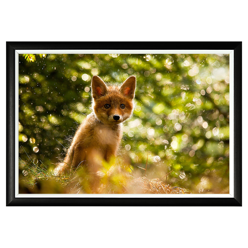 896523226_1818 Арт-постер «Охотничья тропа» Object Desire 