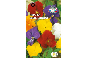 18409249 Семена Фиалка Шотландия 00000016564 СеДек