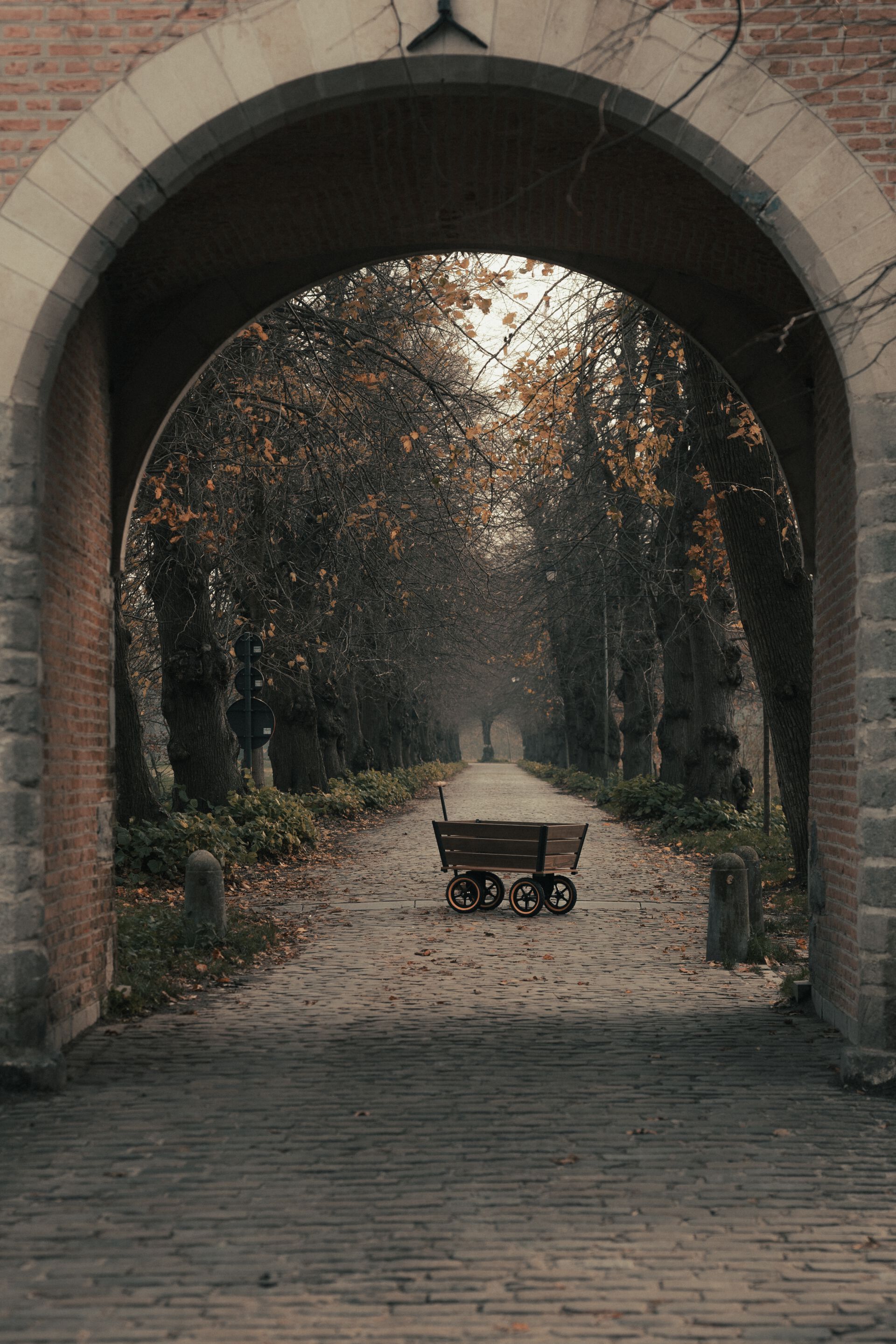 Садовая тележка TRADEWINDS THE PLANK WAGON ARCH-00043245 - Вид №22