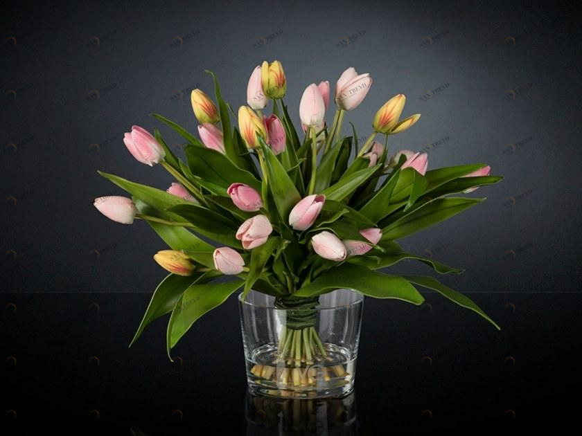 VGnewtrend Искусственное растение  1142267.33 