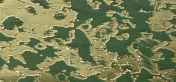 3111529 Фольга "восковая", Парча, 20x10 см, упаковка 1 шт., цвет зеленый Santreyd 