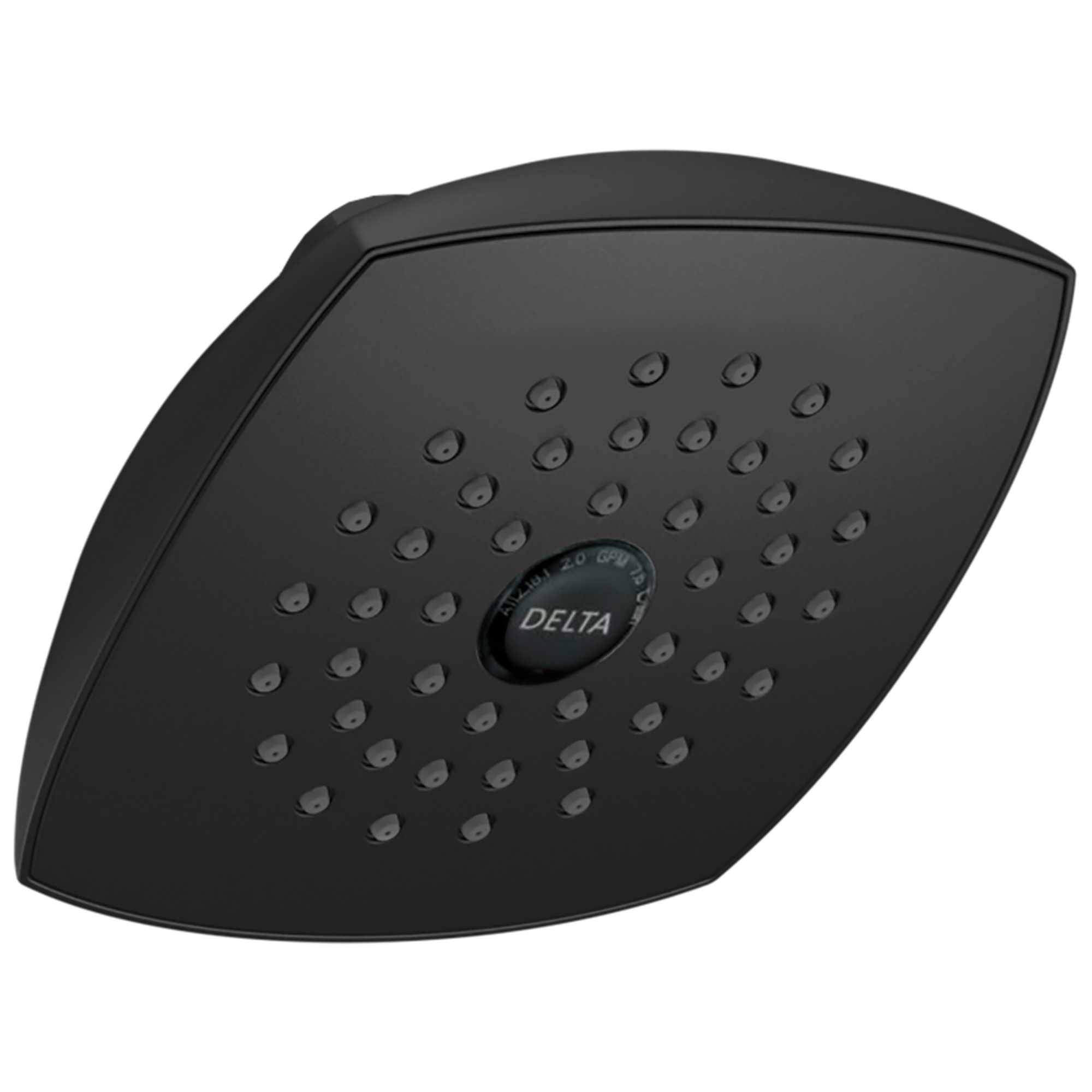 Душевая лейка Raincan Touch-Clean® Single-Setting Delta Faucet RP64859BL