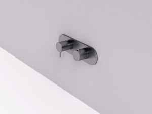 Смеситель для душа с пластиной