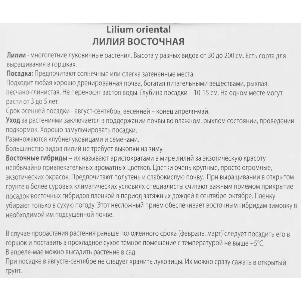 Лилия восточная Айдахо 86410096 STLM-2151562 ПОИСК  - Вид №2