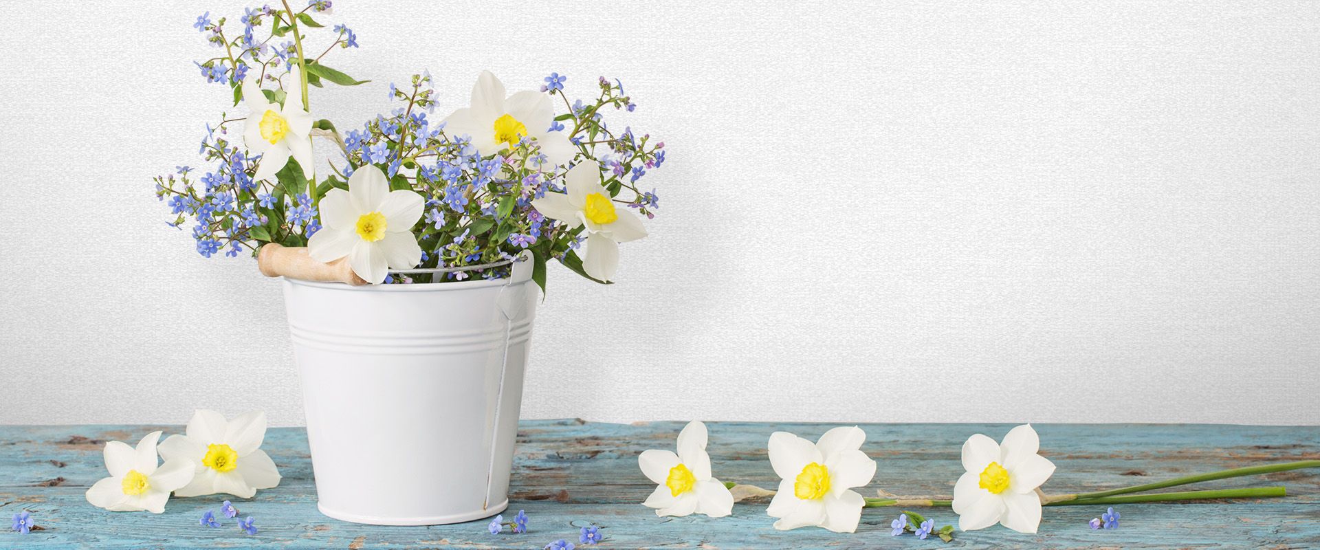 Victoria Stenova 88201 Фон NEZABUDKA 88201  - Вид №1