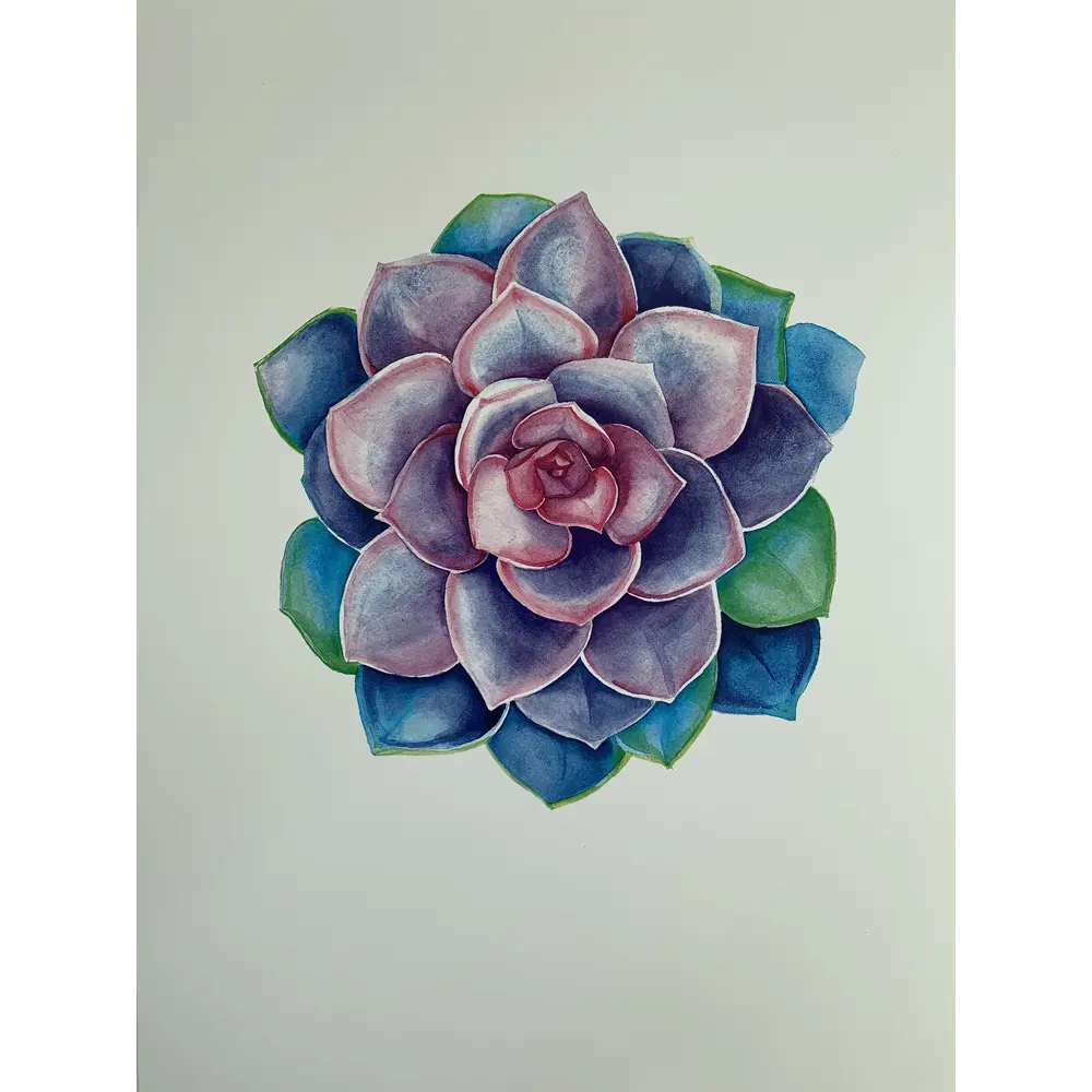 Постер «Суккулент» 21x29.7 см 82481361 STLM-2019336 Santreyd 