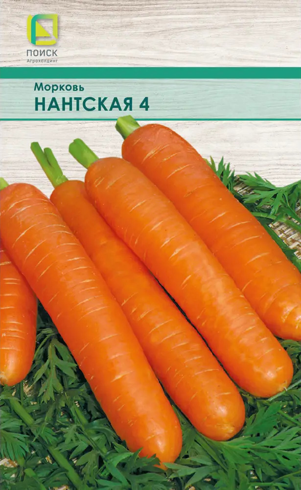 Морковь Нантская ПОИСК - среднеспелый сорт для диетического питания 83577703