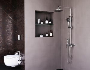 DX220910000 душевая система со смесителем-полкой: верхний душ 230мм ручной душ 120мм 1 реж Damixa Apollo