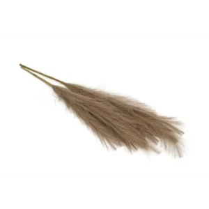 Декоративный сухоцвет 60 см светло-коричневый