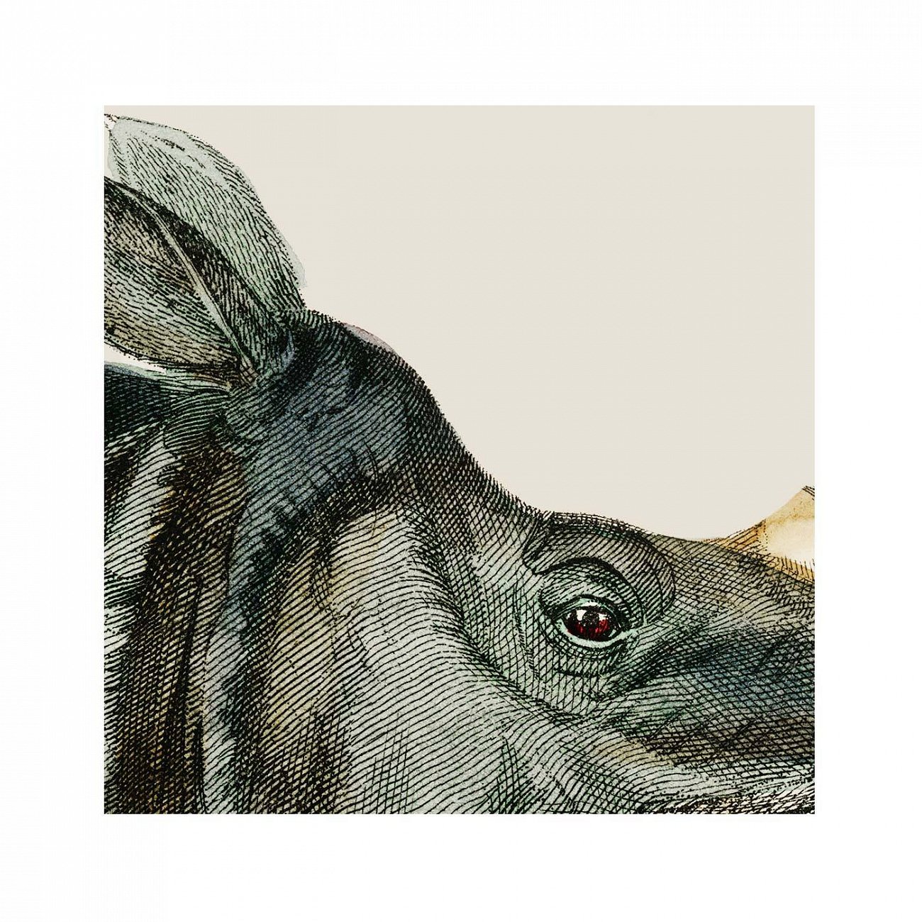 Картина в раме 130х102 см Rhinoceros, 1774г. КАРТИНЫ В КВАРТИРУ  264200 Коричневый;черный;разноцветный  - Вид №4